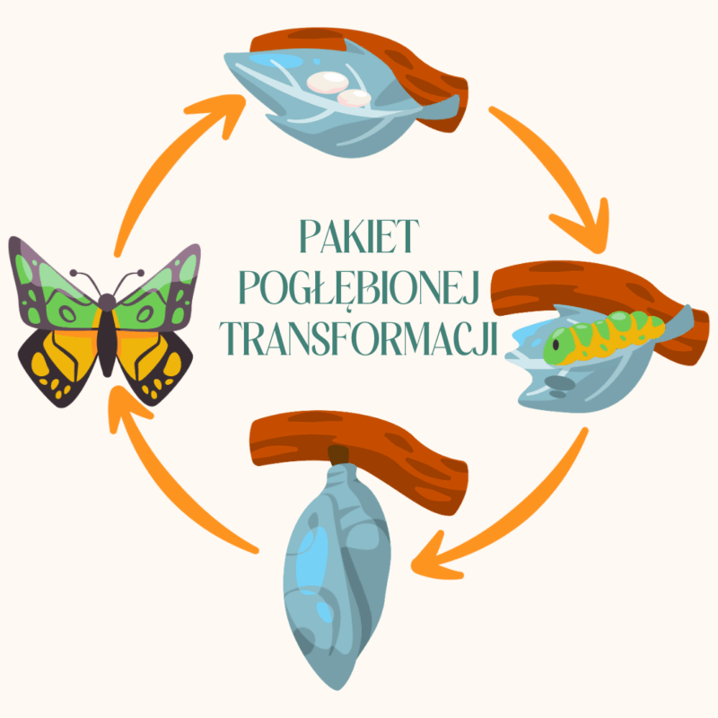 PAKIET TRANSFORMACJI: EMBRACE THERAPY® I COACHING - 12 SESJI